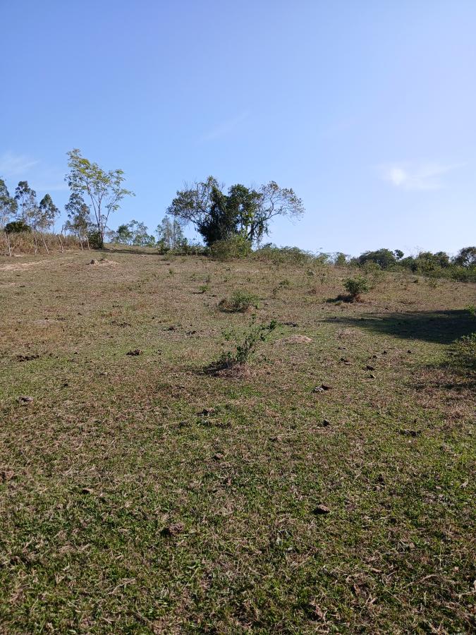 Fazenda à venda com 1 quarto, 96000m² - Foto 22