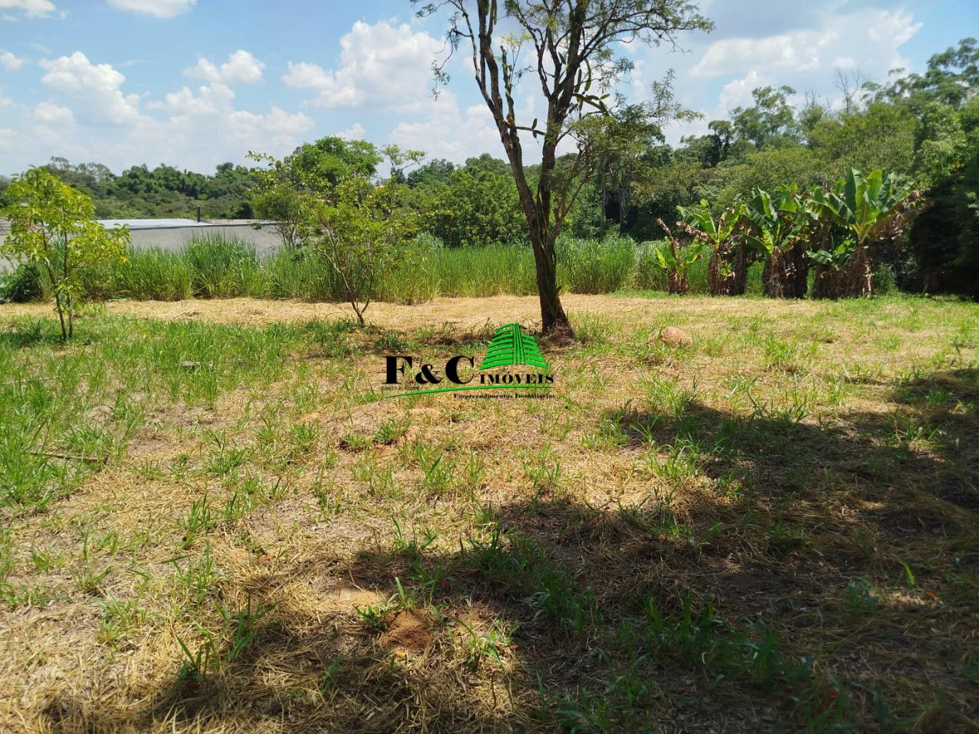 Chácara à venda com 4 quartos, 11200m² - Foto 7