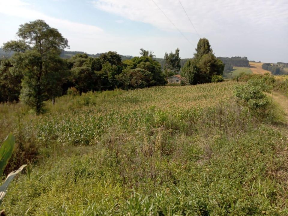 Fazenda à venda com 3 quartos, 130000m² - Foto 20