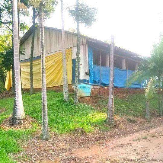 Sítio à venda com 3 quartos, 200000M2 - Foto 15