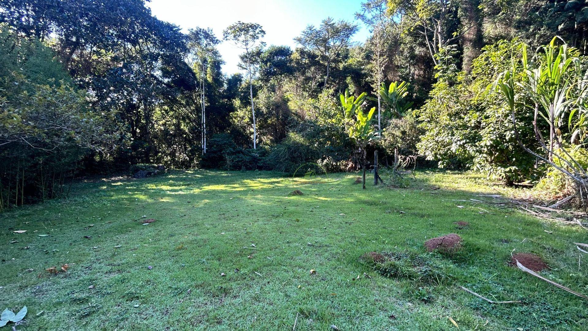 Sítio, 14 hectares - Foto 9