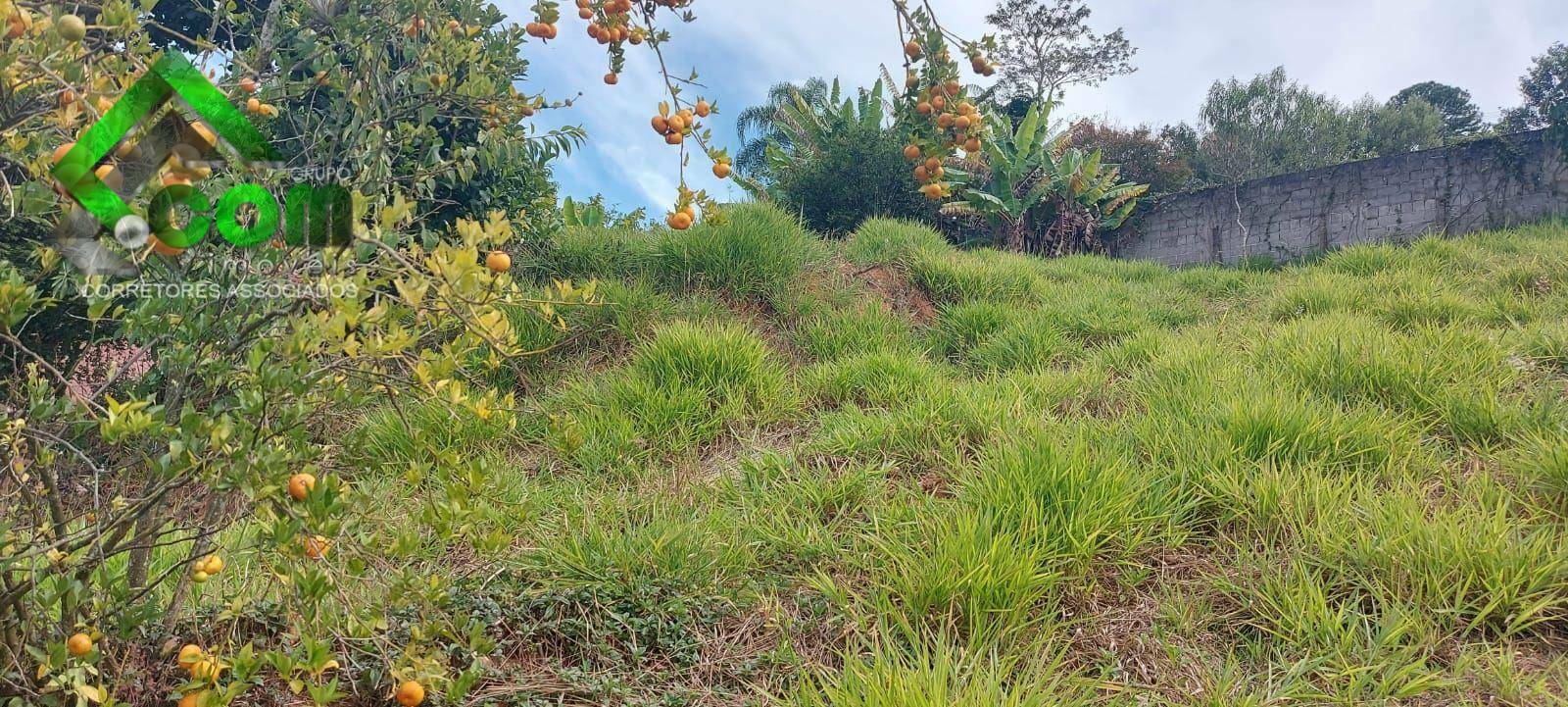 Terreno à venda, 361M2 - Foto 5