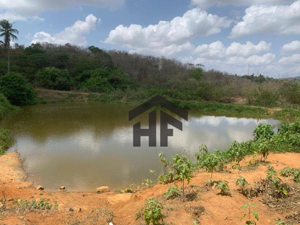 Chácara à venda com 3 quartos, 60000M2 - Foto 17