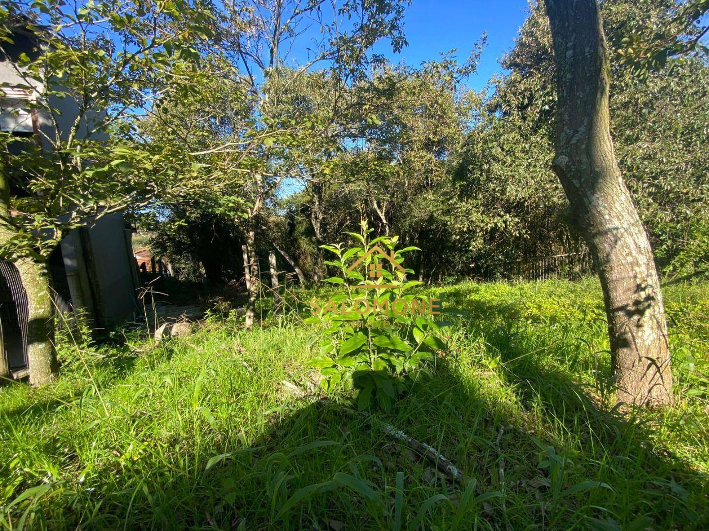 Loteamento e Condomínio, 400 m² - Foto 4