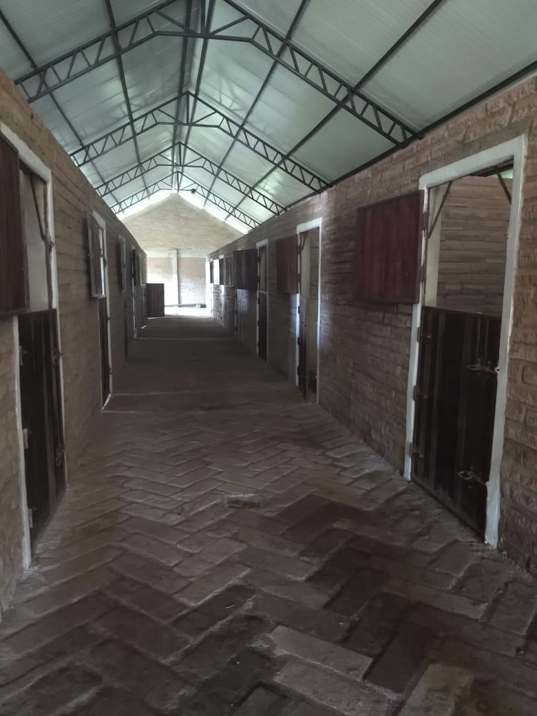 Sítio à venda com 1 quarto, 6000m² - Foto 35