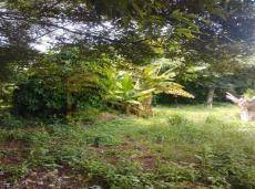 Terreno à venda, 475M2 - Foto 2