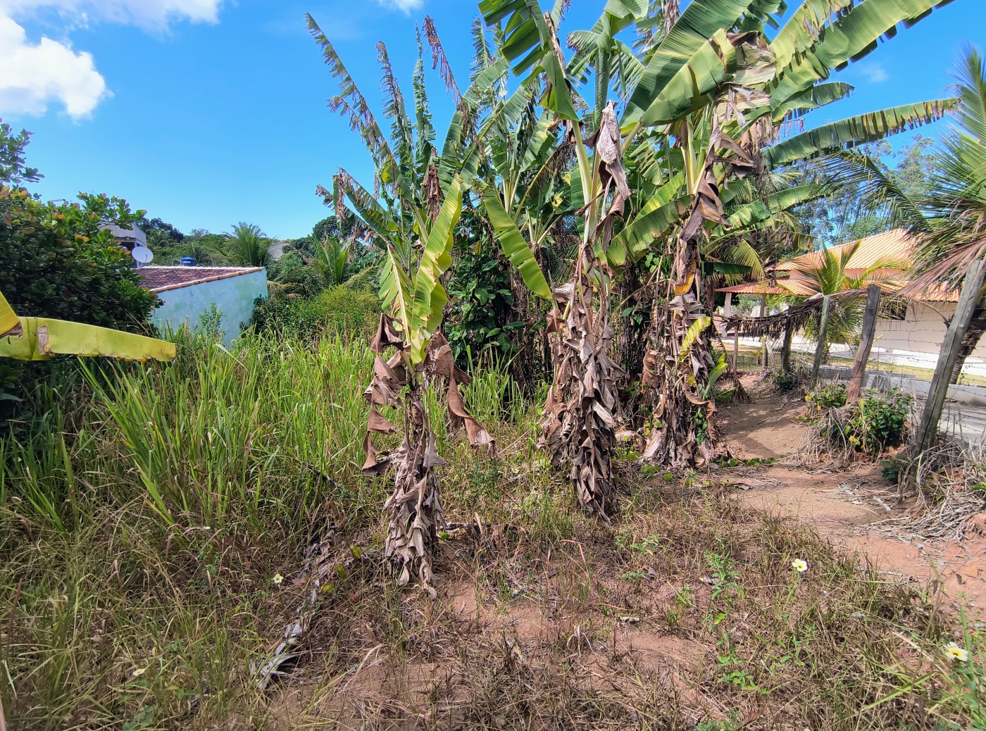 Terreno à venda, 450m² - Foto 15