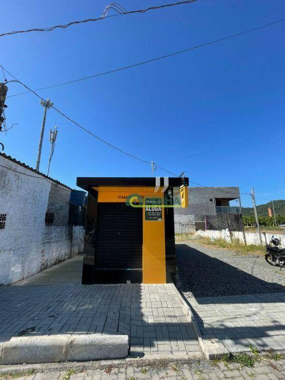 Terreno, 300 m² - Foto 1