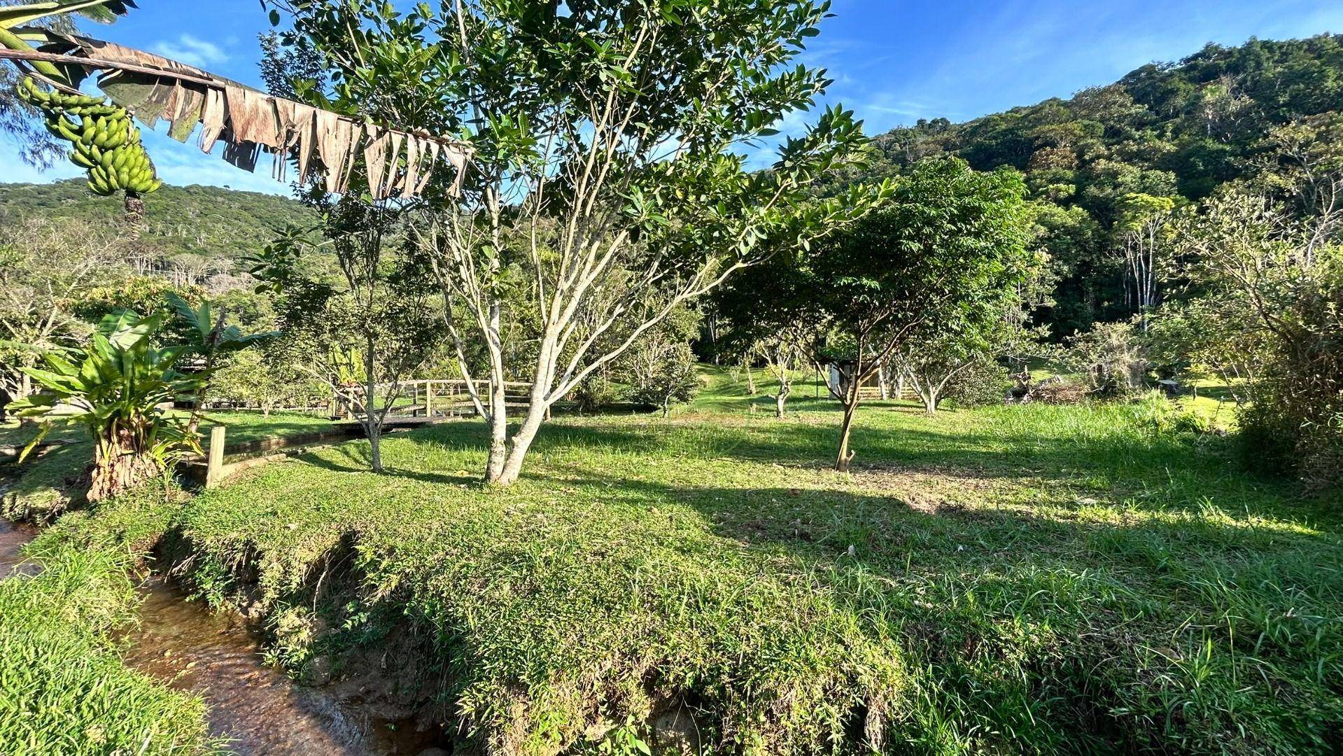 Sítio, 24 m² - Foto 66