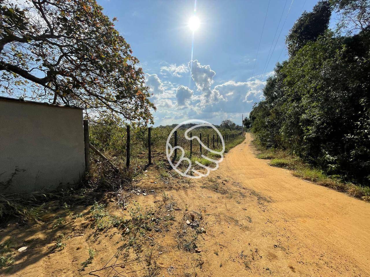 Sítio, 12 hectares - Foto 4