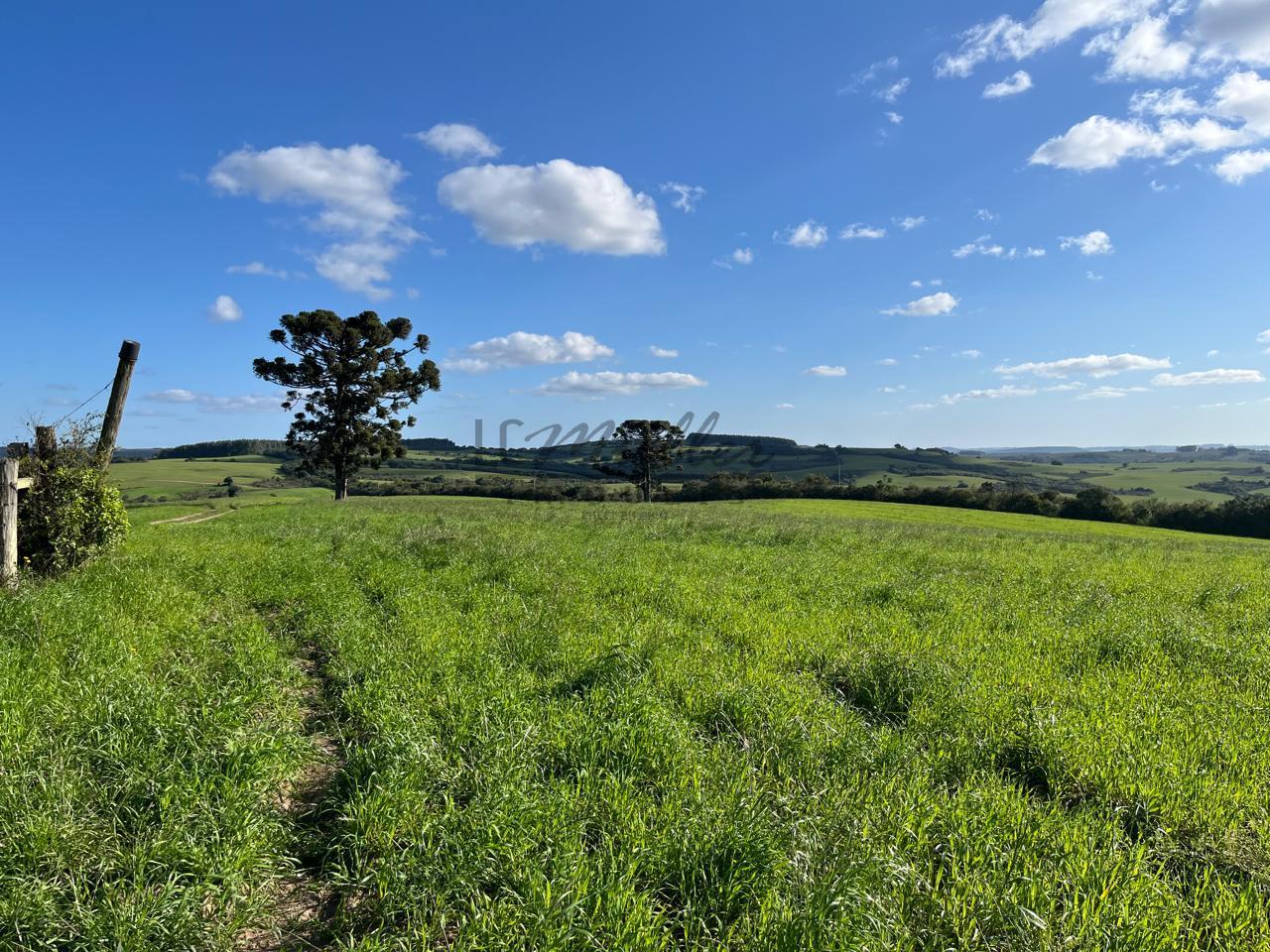 Fazenda à venda, 900m² - Foto 12