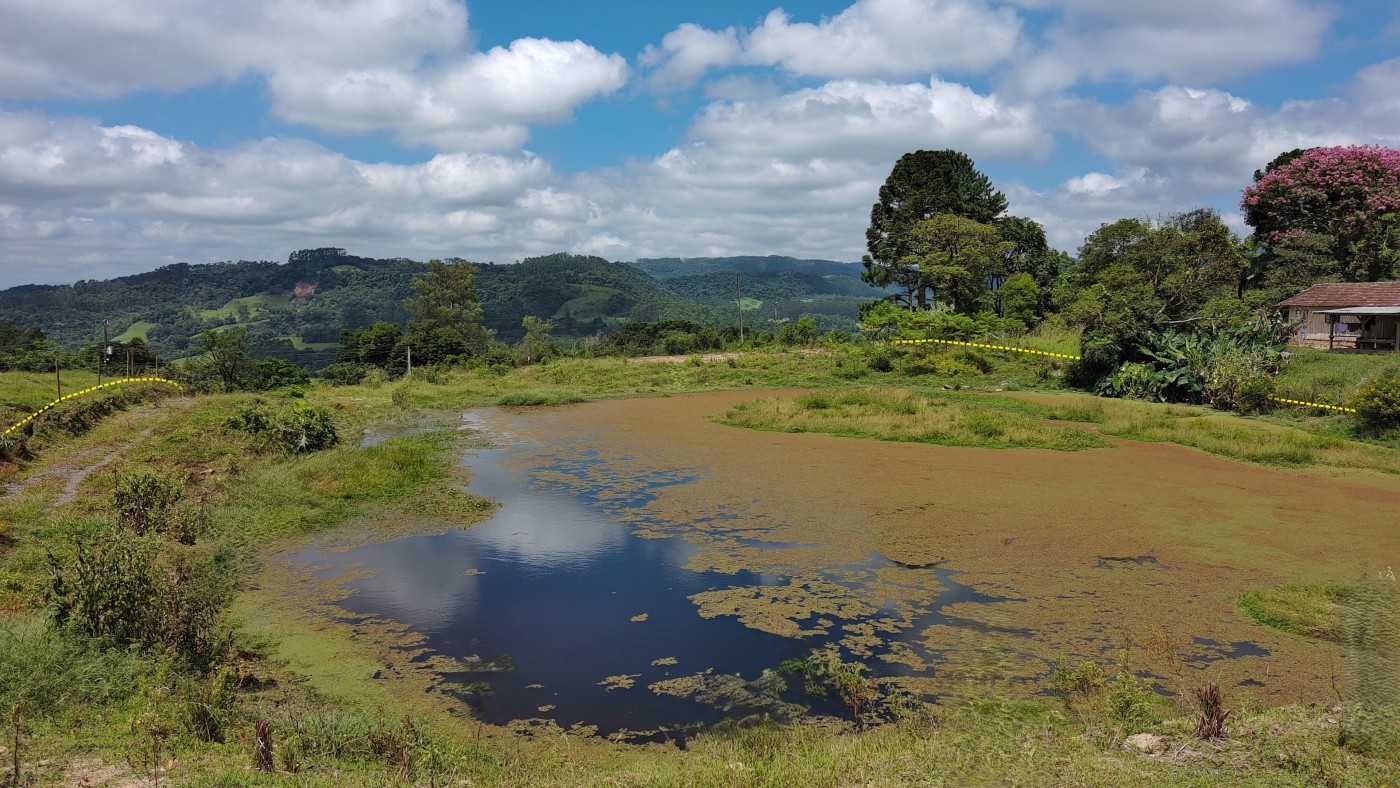 Chácara à venda, 10000m² - Foto 1