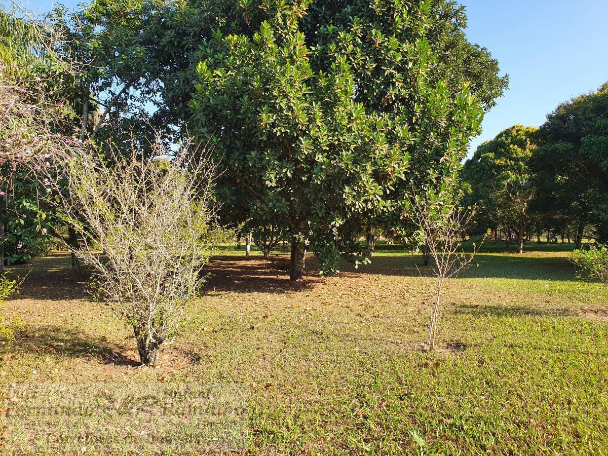 Fazenda à venda com 4 quartos, 5600m² - Foto 53