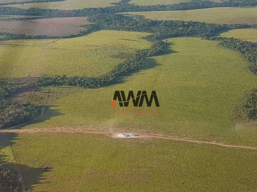 Fazenda-Sítio-Chácara, 17000 hectares - Foto 2