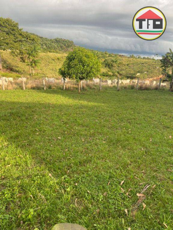 Fazenda à venda, 4114000M2 - Foto 22