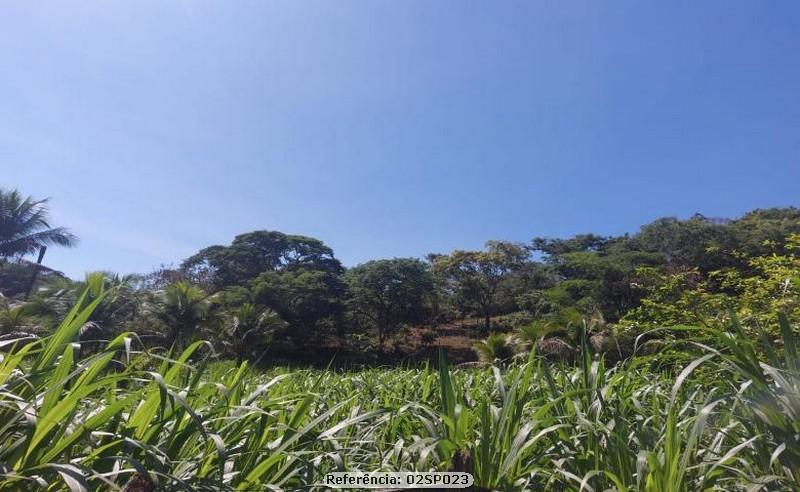 Fazenda à venda com 2 quartos, 110000m² - Foto 17