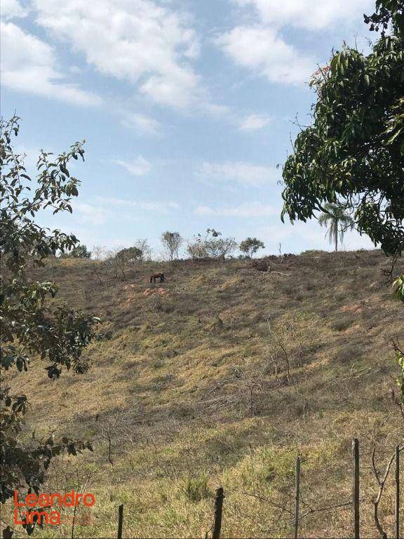 Terreno, 4 hectares - Foto 13