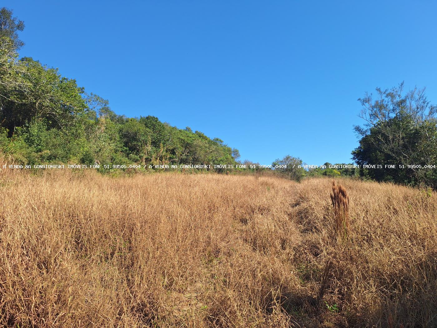 Loteamento e Condomínio à venda, 50000m² - Foto 9