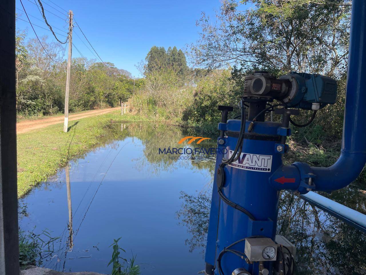 Sítio, 65 hectares - Foto 4