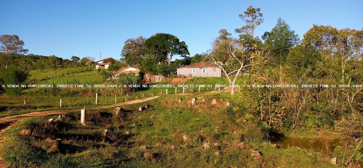 Fazenda-Sítio-Chácara, 6 hectares - Foto 6