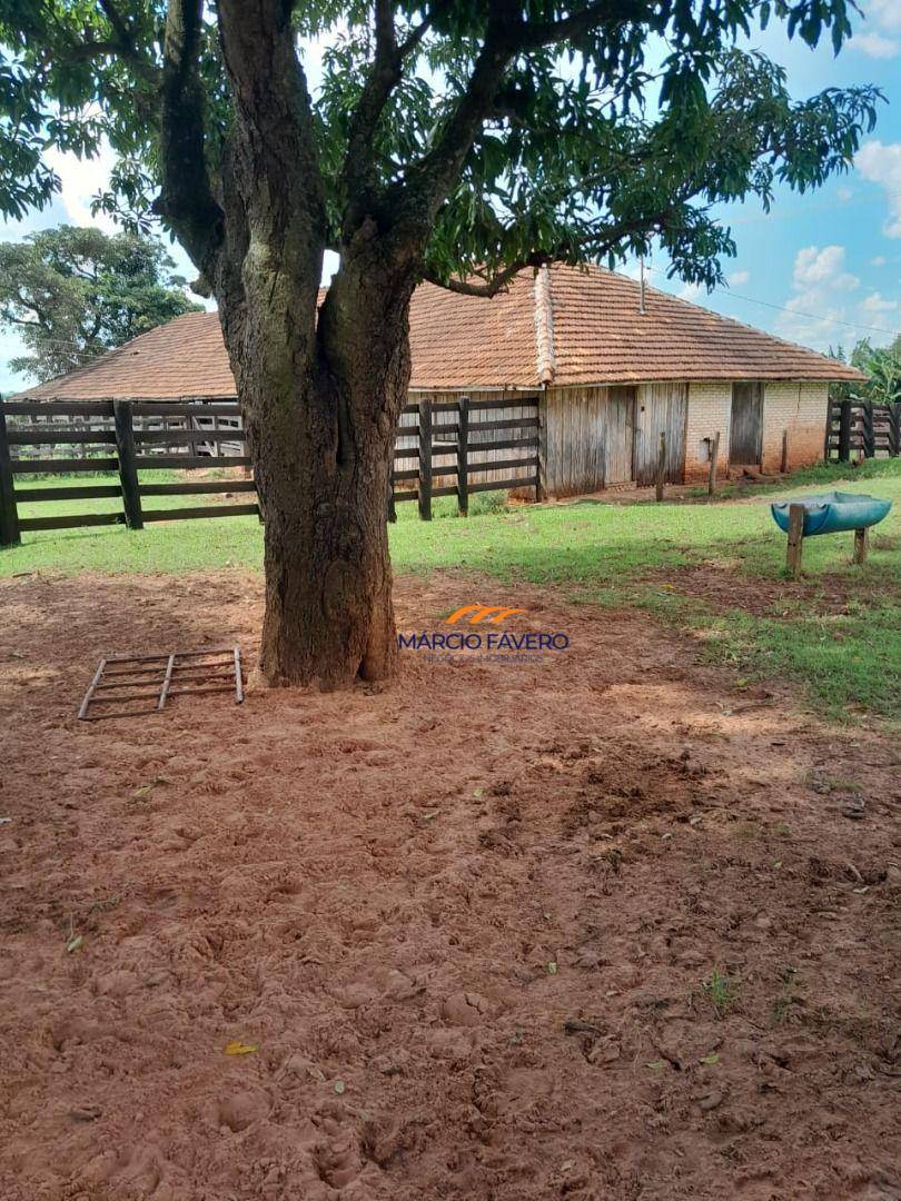 Fazenda, 339 hectares - Foto 1