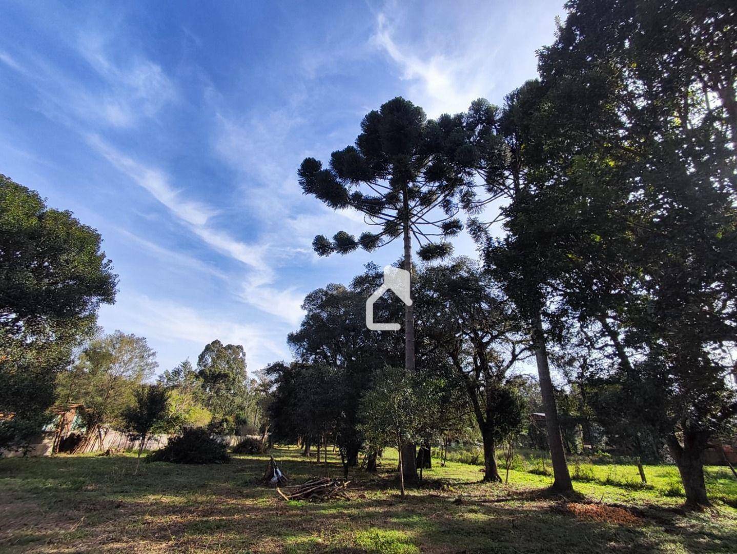 Terreno à venda, 5600M2 - Foto 3