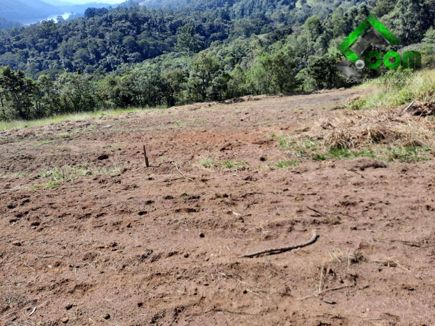 Terreno, 2 hectares - Foto 4