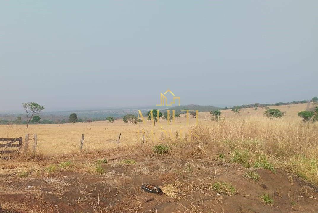 Fazenda à venda com 3 quartos, 3930000M2 - Foto 1