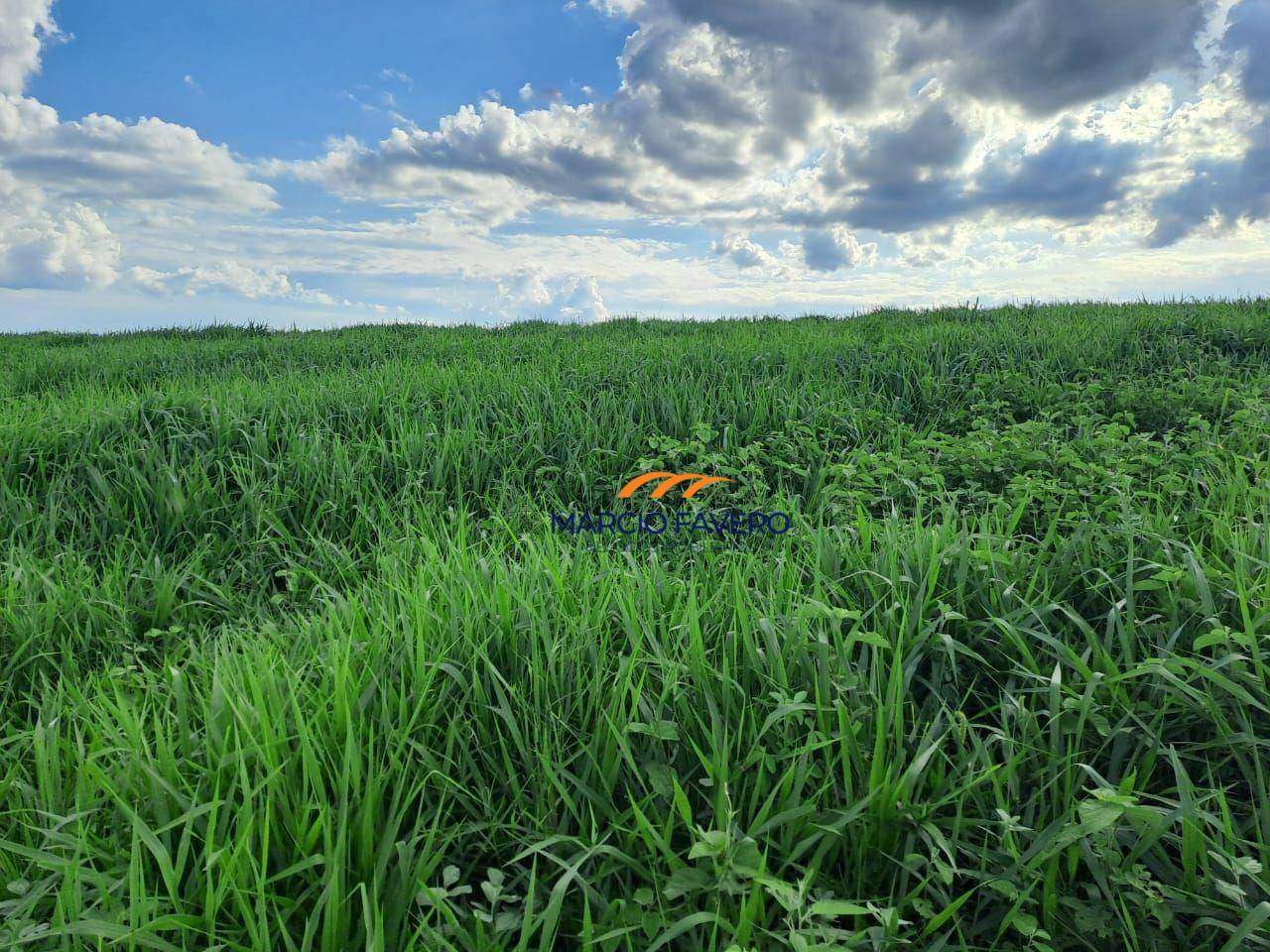 Fazenda, 571 hectares - Foto 1
