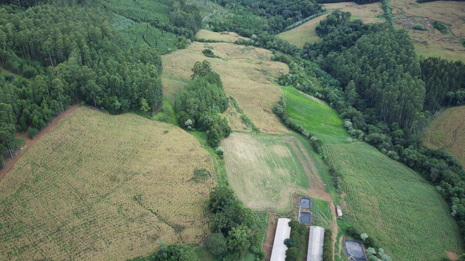 Casa à venda, 450000m² - Foto 4