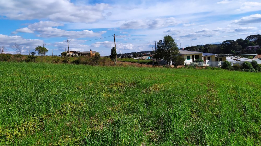 Fazenda à venda com 1 quarto, 24000m² - Foto 5