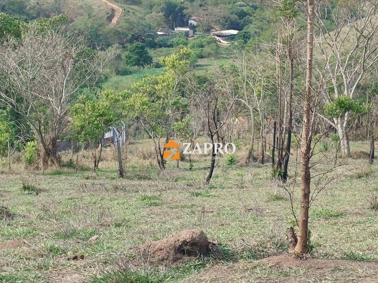Terreno, 3 hectares - Foto 4