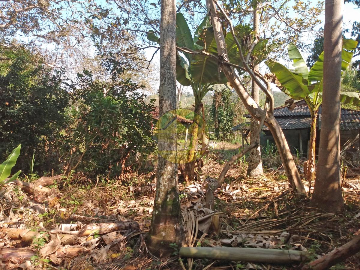 Fazenda à venda, 4m² - Foto 19