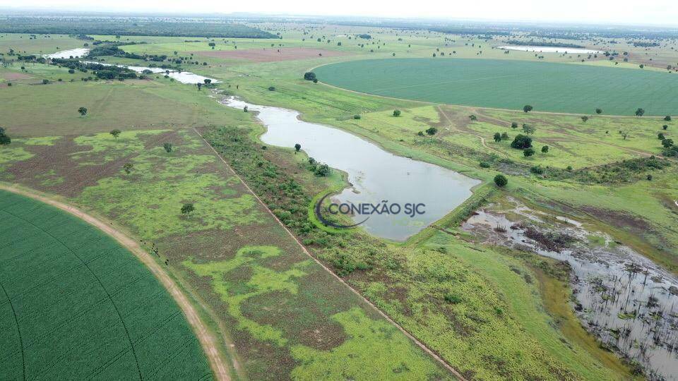 Fazenda à venda com 4 quartos, 56140000M2 - Foto 20