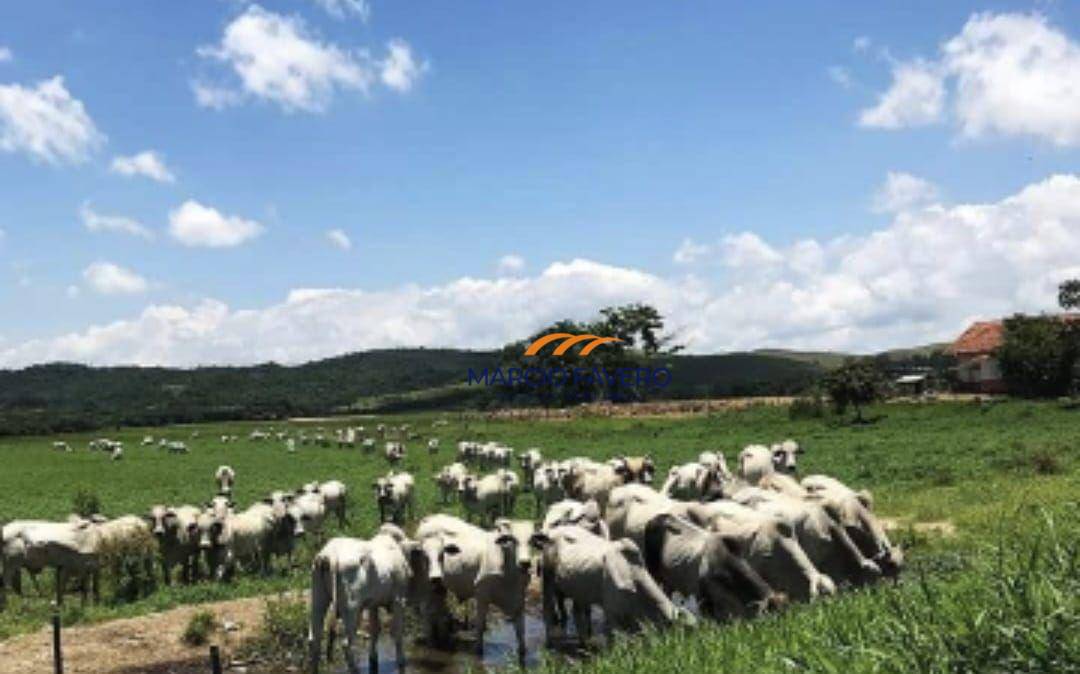 Fazenda à venda, 10841600M2 - Foto 13