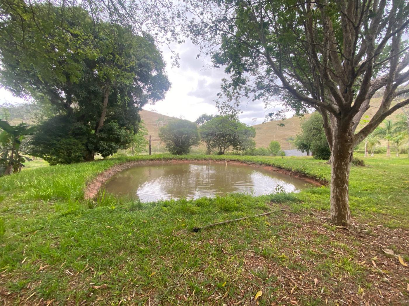 Sítio à venda com 5 quartos, 170000m² - Foto 29
