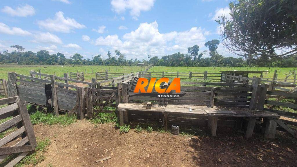 Sítio, 40 hectares - Foto 13