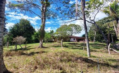 Fazenda à venda com 3 quartos, 200000m² - Foto 8