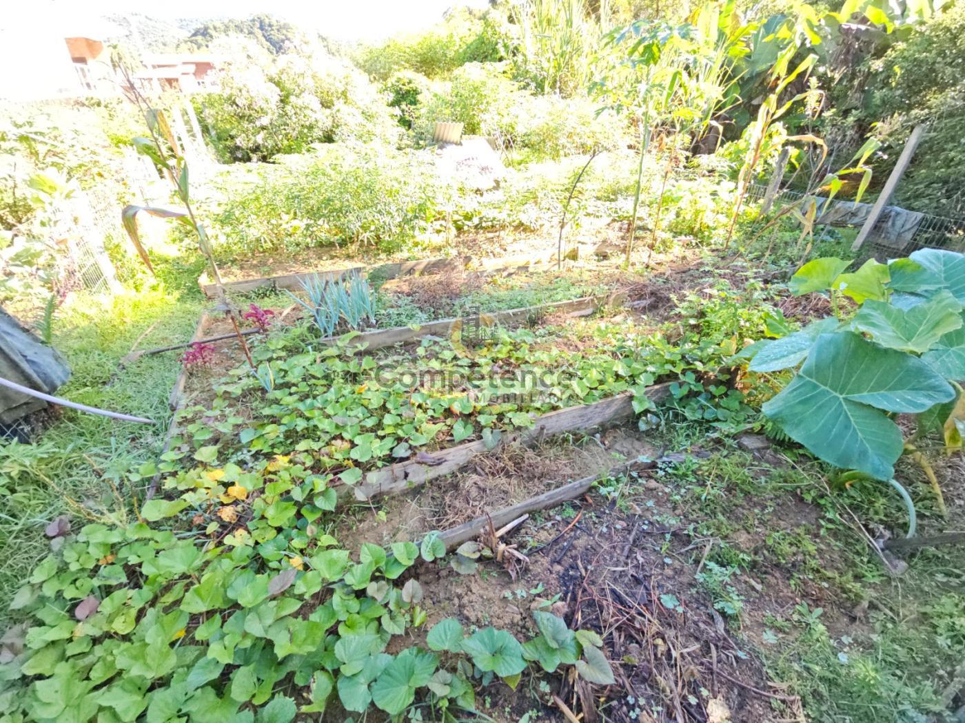 Sítio à venda com 3 quartos, 152m² - Foto 19