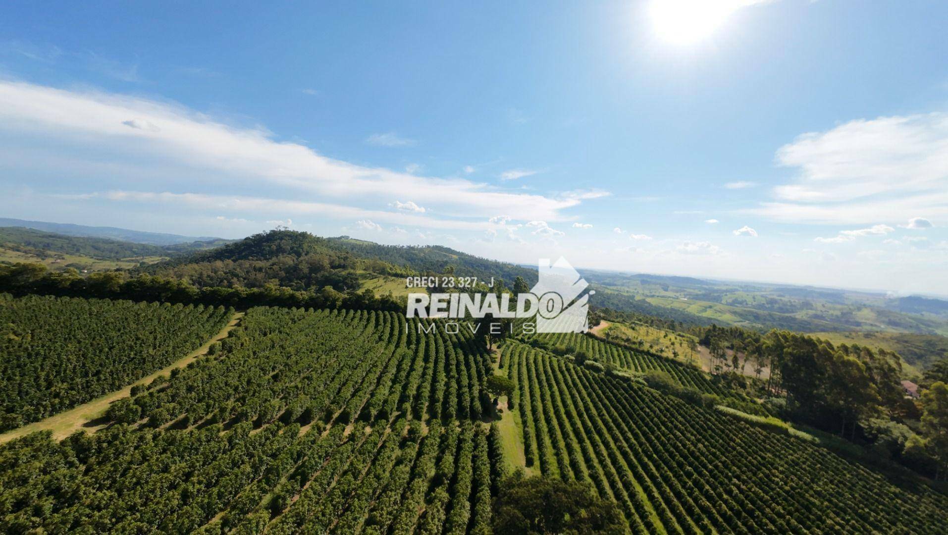 Fazenda à venda com 9 quartos, 5000m² - Foto 5