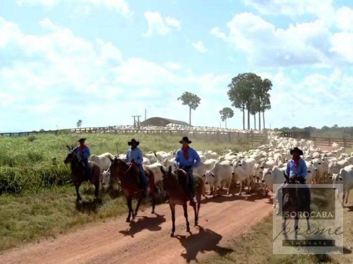 Fazenda à venda, 4270000000M2 - Foto 10