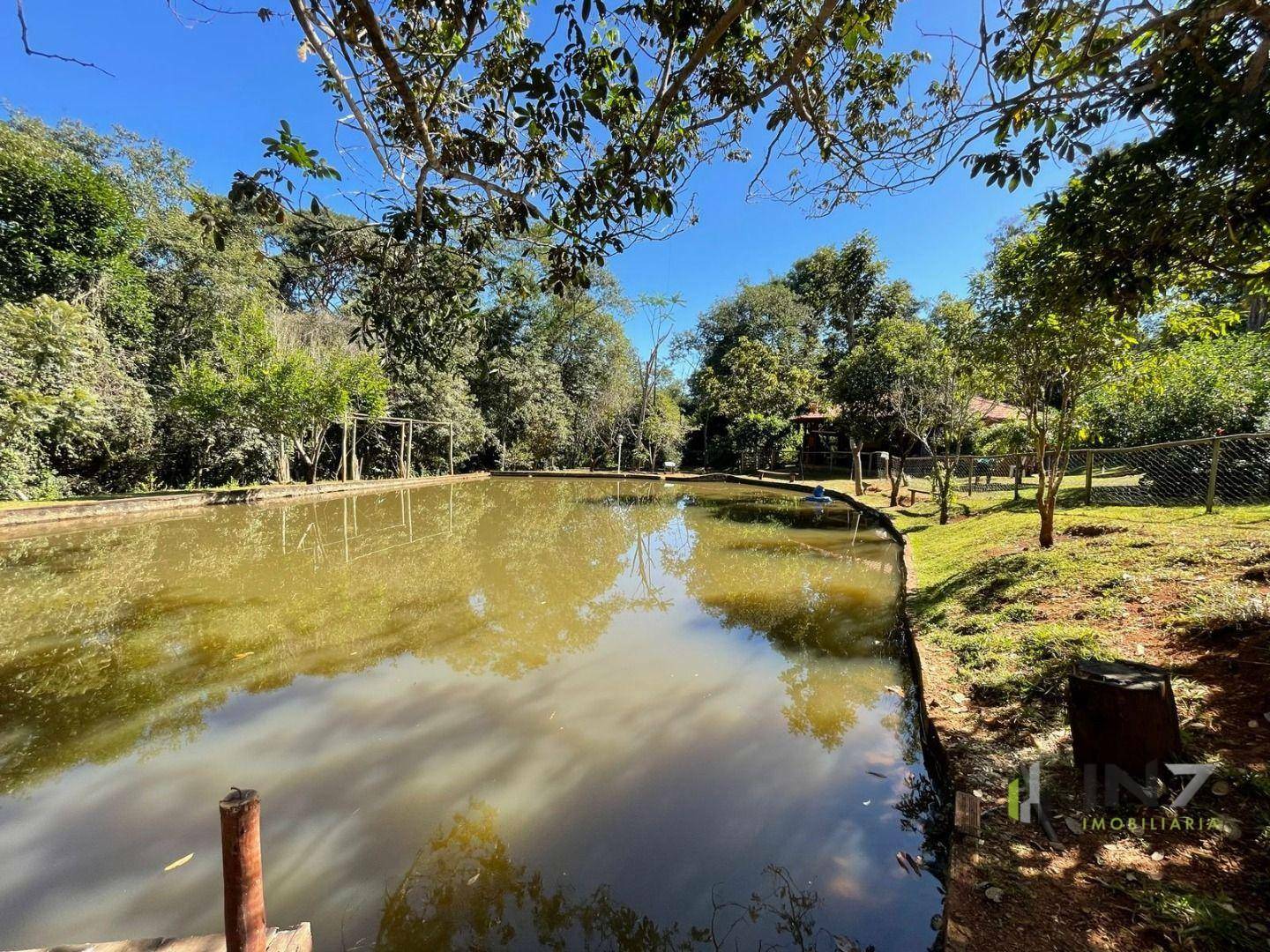 Chácara à venda com 6 quartos, 15000M2 - Foto 7