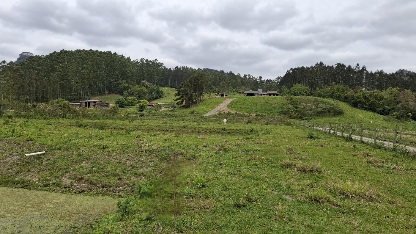 Fazenda à venda com 1 quarto, 10000m² - Foto 29