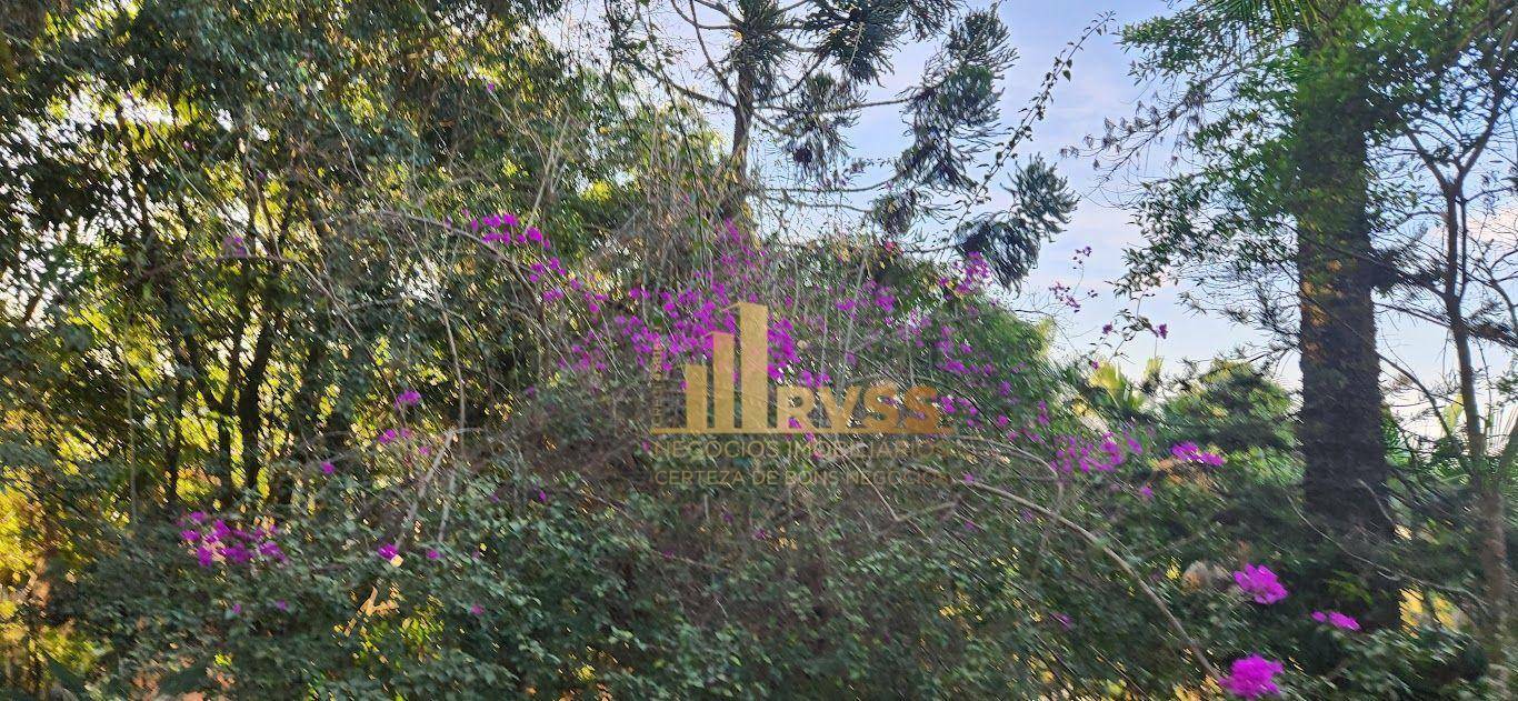 Depósito-Galpão-Armazém à venda e aluguel, 7267m² - Foto 114