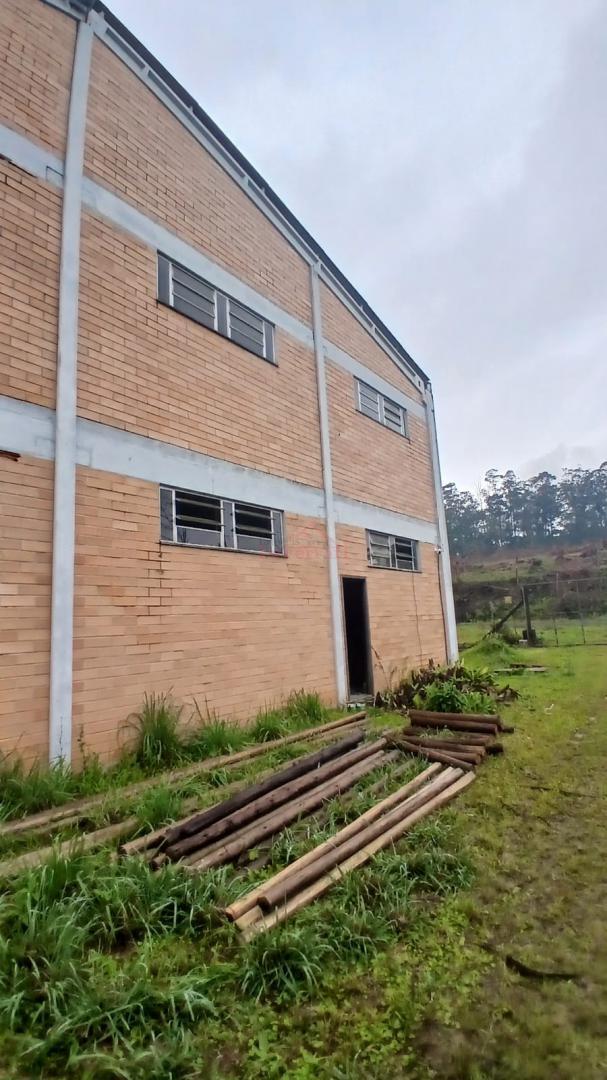 Depósito-Galpão - Foto 1