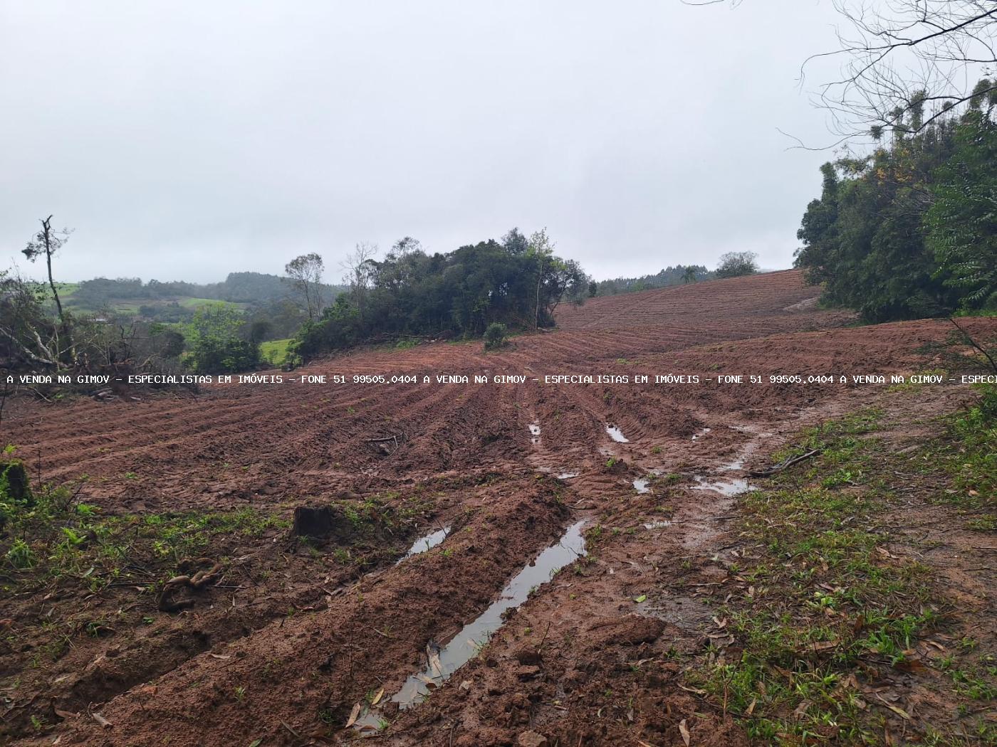 Fazenda à venda com 2 quartos, 141000m² - Foto 36