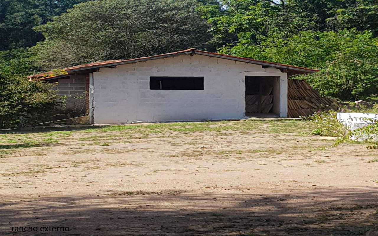 Sítio à venda com 7 quartos, 16600m² - Foto 30