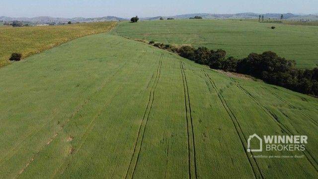 Fazenda à venda, 693600M2 - Foto 2