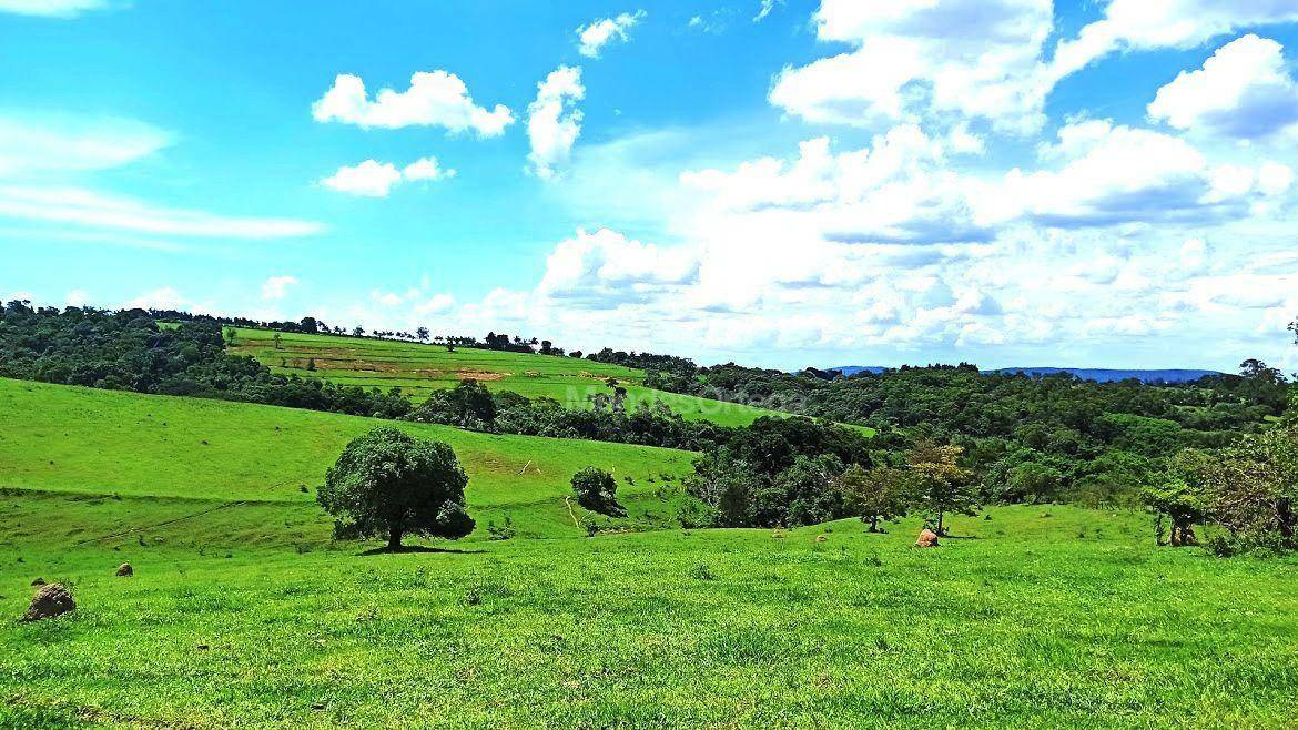 Terreno à venda, 122172M2 - Foto 8