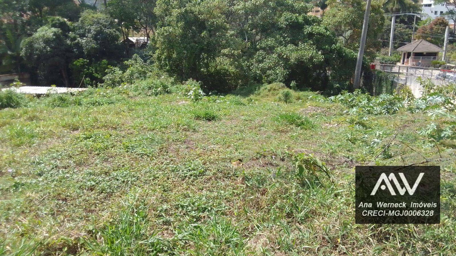 Terreno, 1225 m² - Foto 3